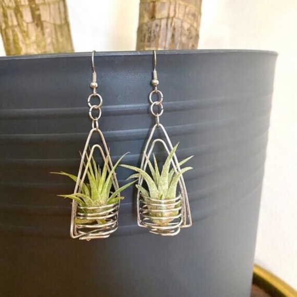 Silver double triangle air plant earrings - Picture 3 of 4
